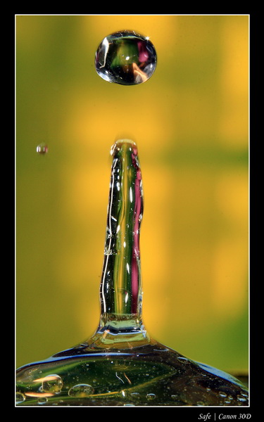 2007   01   goutte 12